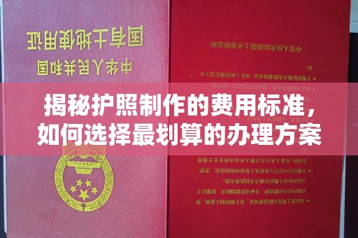 宝应县揭秘护照制作的费用标准，如何选择最划算的办理方案？