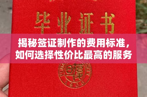 宝应县揭秘签证制作的费用标准，如何选择性价比最高的服务？