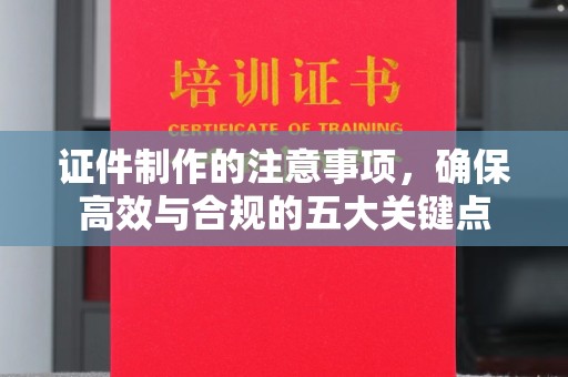 宝应县证件制作的注意事项，确保高效与合规的五大关键点