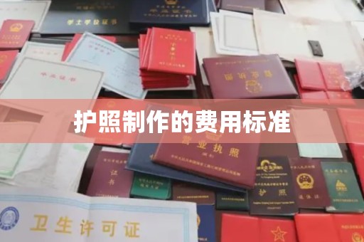 宝应县护照制作的费用标准