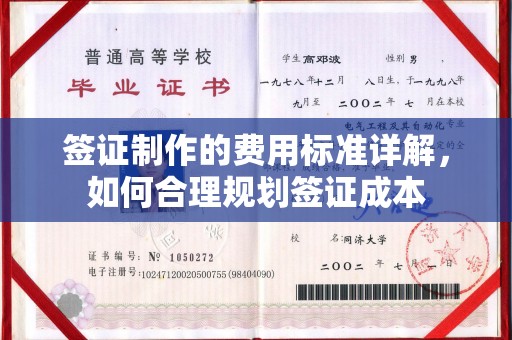 宝应县签证制作的费用标准详解，如何合理规划签证成本